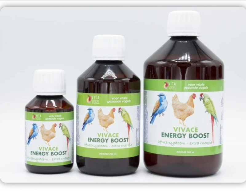 Vivace Energy Boost - Vita Vogel