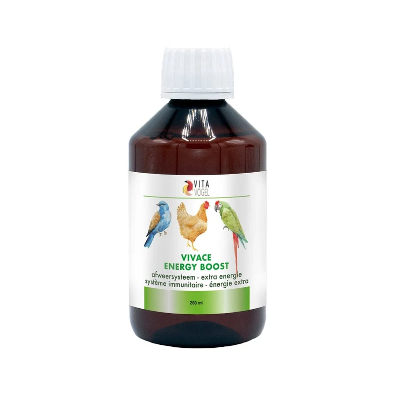 Vivace Energy Boost - Vita Vogel