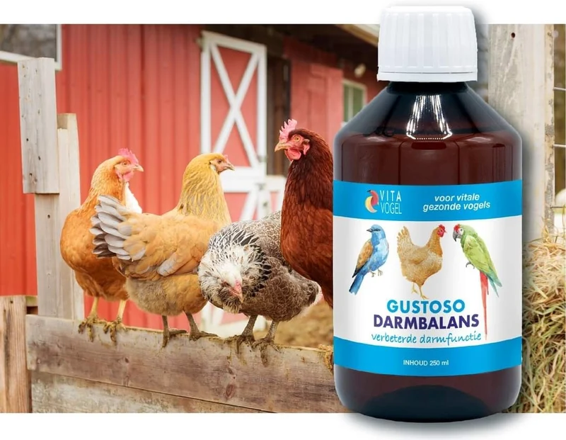 Gustoso Équilibre Intestinal 100 ml - Vita Vogel
