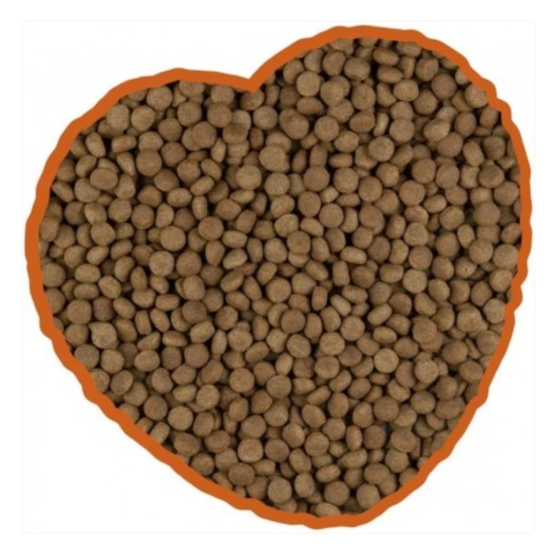 Menu Normal Chien 14kg | Duvo+