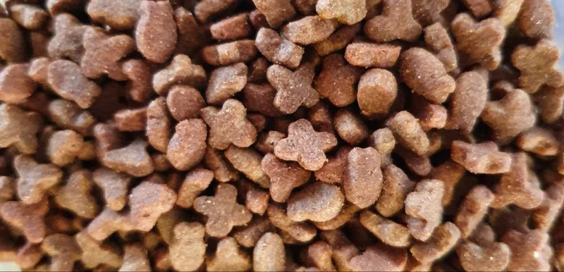 Menu Régulier Chat 10kg | Duvo+