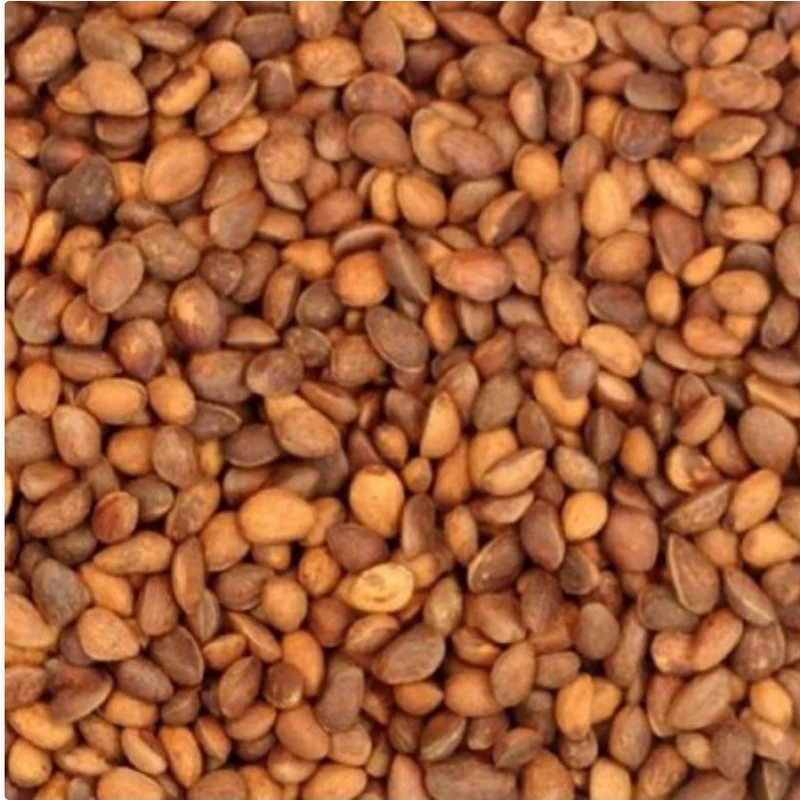Noix de Cèdre 25kg | Duvo+