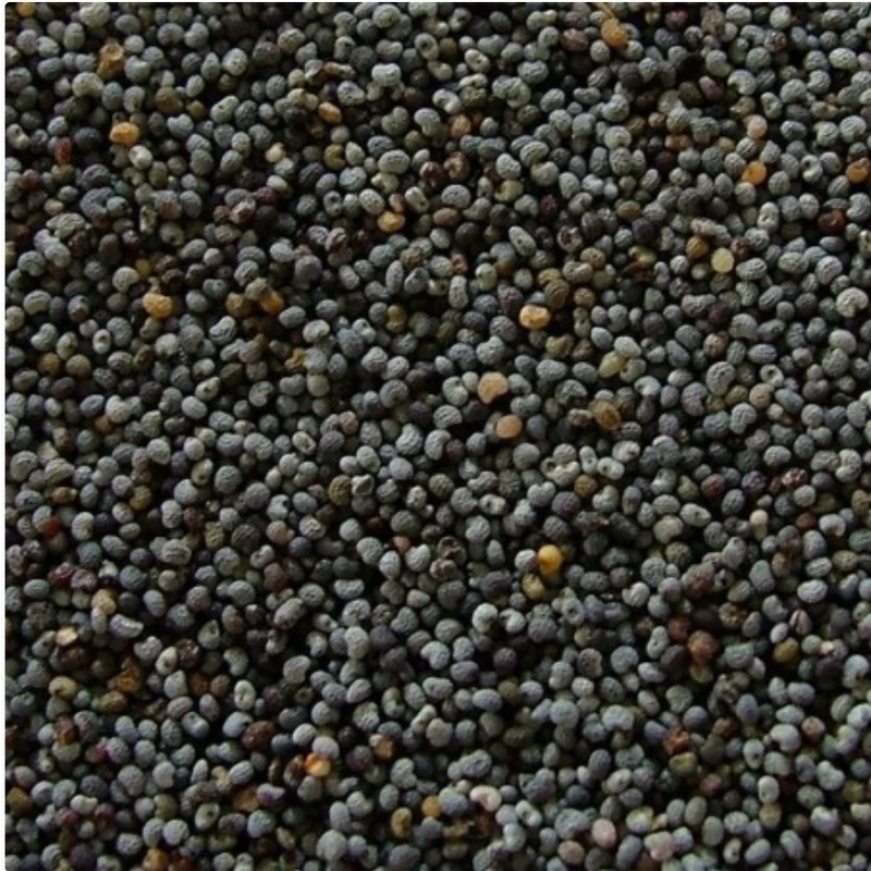 Graines de Pavot Bleu Extra 25kg | Duvo+
