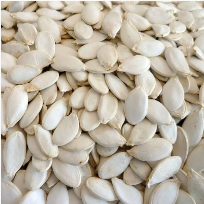 Graines de citrouille 25kg | Duvo+