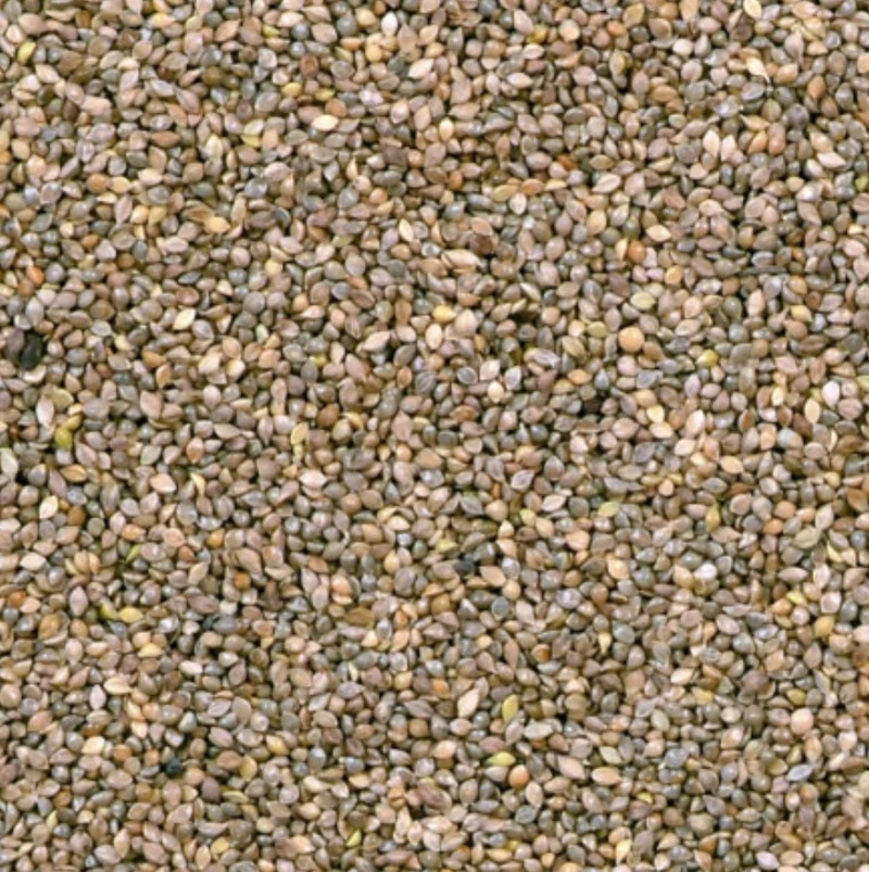 Millet japonais 20kg - Duvo+