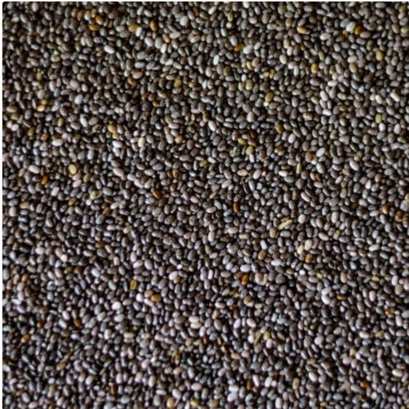 Duvo+ Graines de Chia 25kg