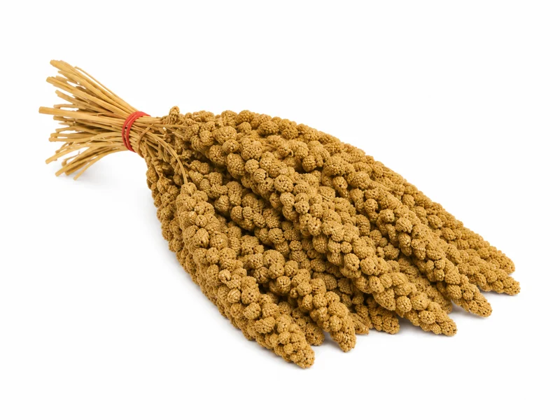 Spray Millet Jaune Chine Boite 15kg