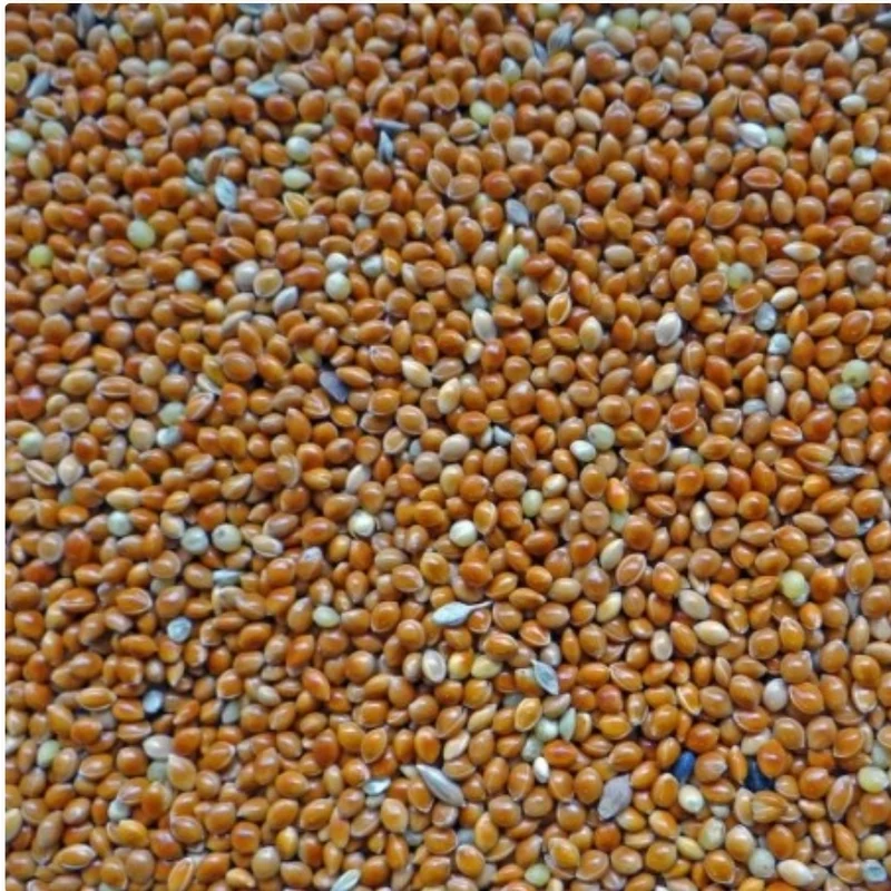Duvo+ Millet Rouge 20kg