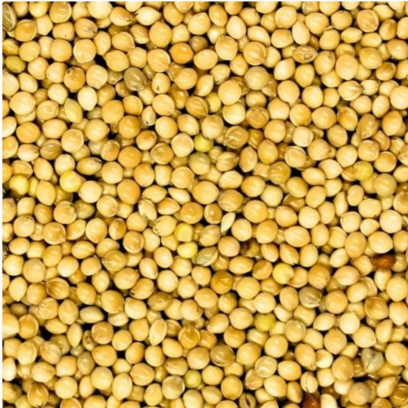 Millet Blanc Extra 20kg - Duvo+