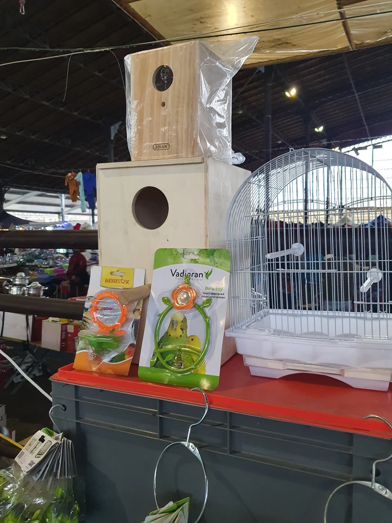 Cage à oiseaux / Cage