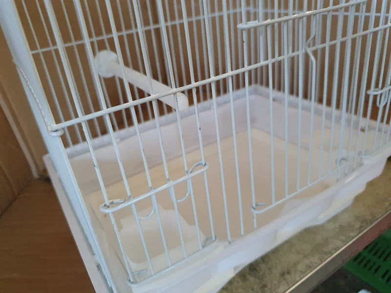 Cage à oiseaux / Cage