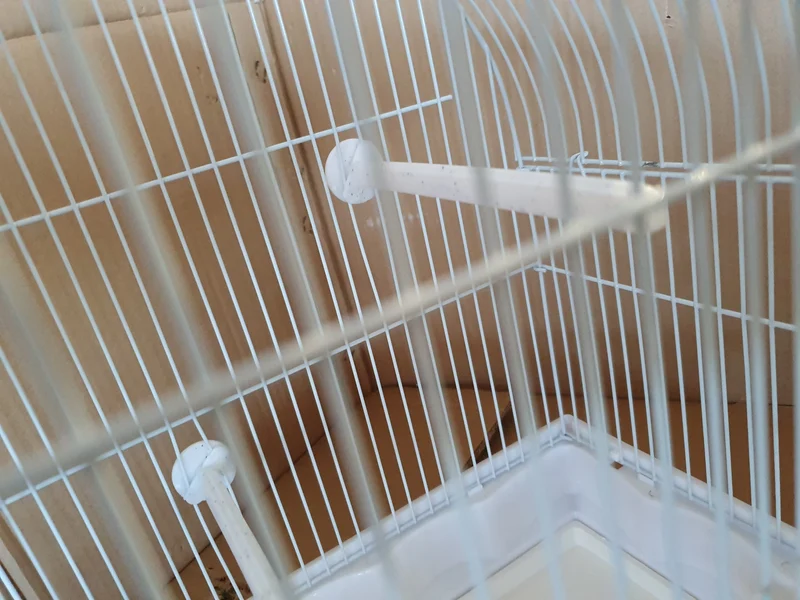 Cage à oiseaux / Cage