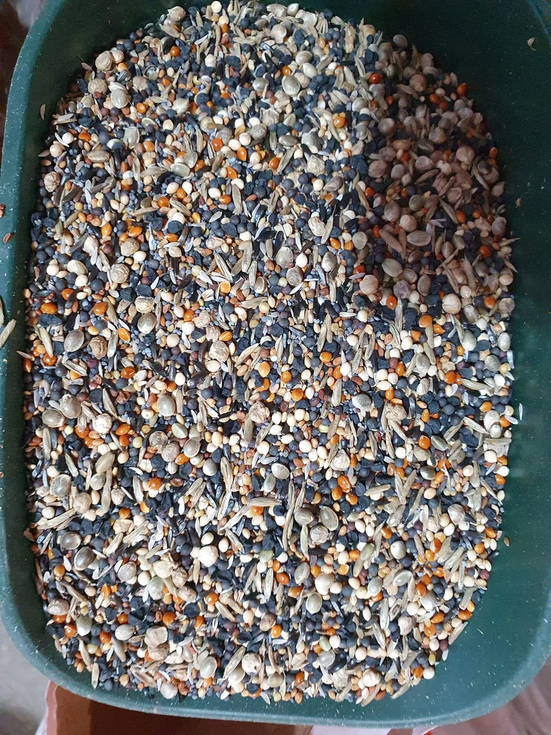 Graines santé 15kg Duvo+