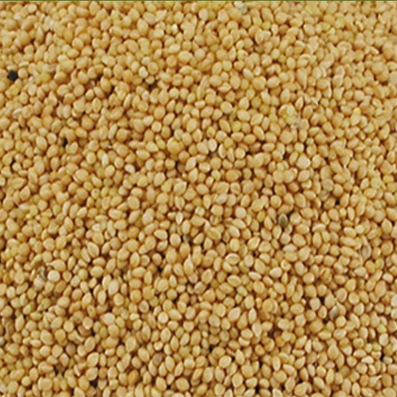 Duvo+ - Panis Jaune 20kg
