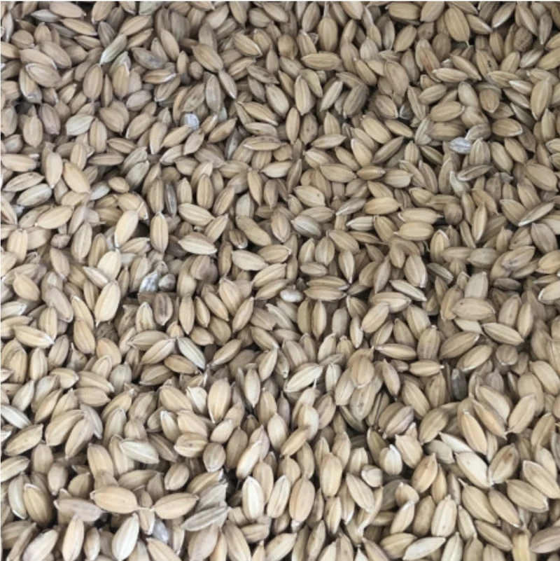 Duvo - Riz Paddy 20kg