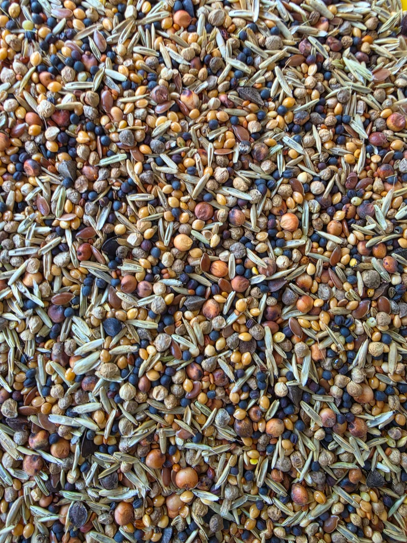 Mélange de graines sauvages 17.5kg Duvo+