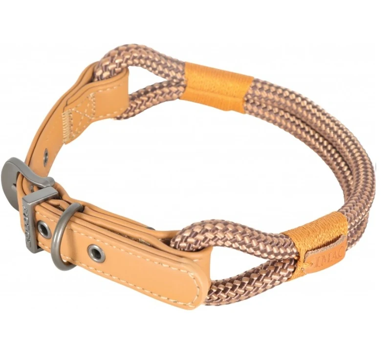 Zolux Collier pour chien Imao Hyde Park Marron 60cm x 11mm