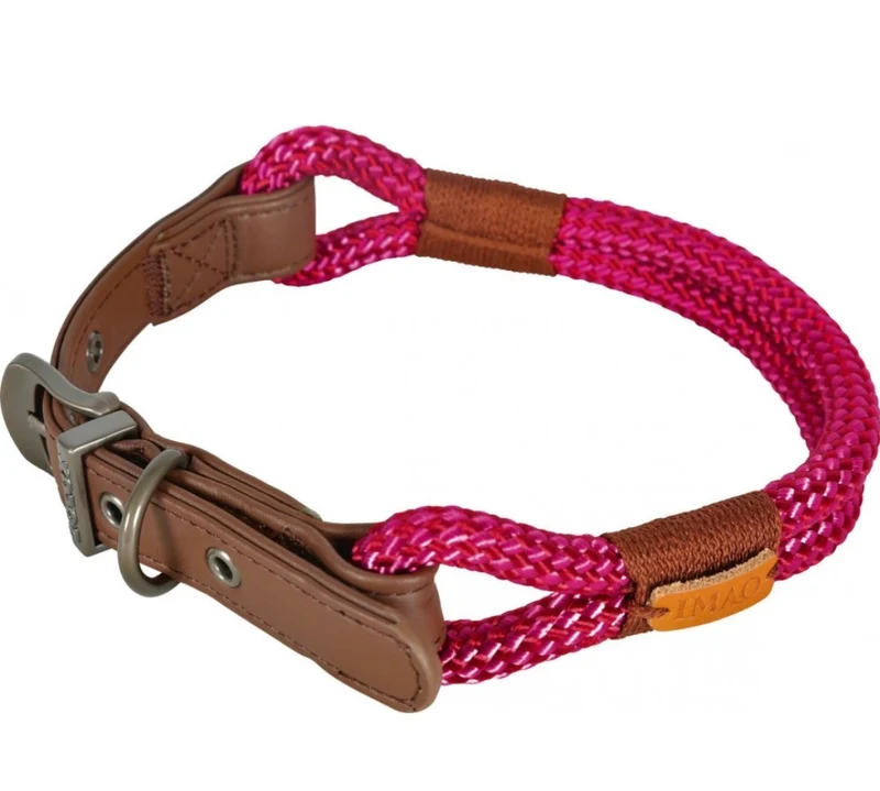 Zolux Collier pour chien Imao Hydepark Rose 60cm x 11mm