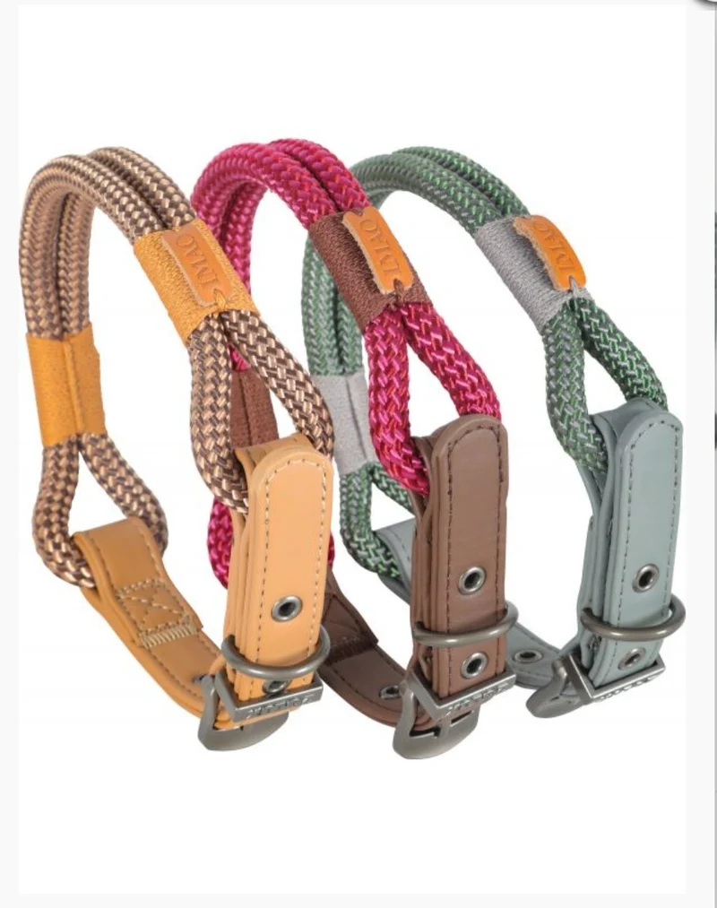 Zolux Collier pour chien Imao Hydepark Rose 40cm x 6mm