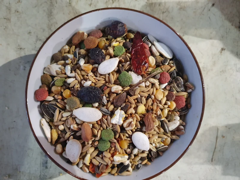 Versele-Laga Prestige Premium Perroquet Amazone 1kg