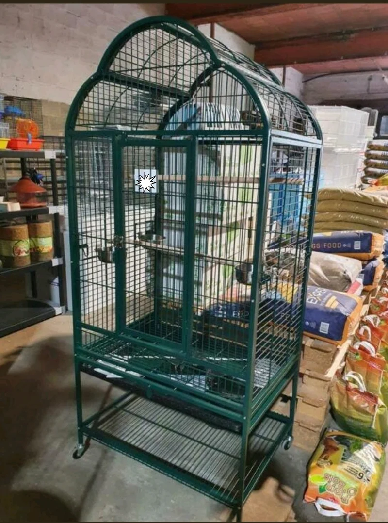 Cage Perroquet Toit Ouvert Vert 102X72X178