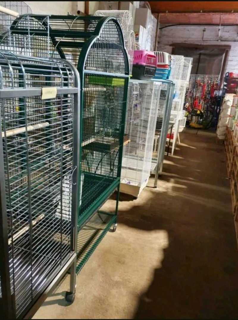 Cage Perroquet Toit Ouvert Vert 102X72X178