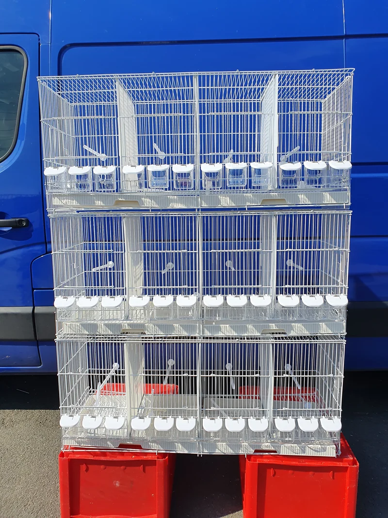 Cages d'élevage empilables en fil de fer blanc 102 cm (boîte de 3)