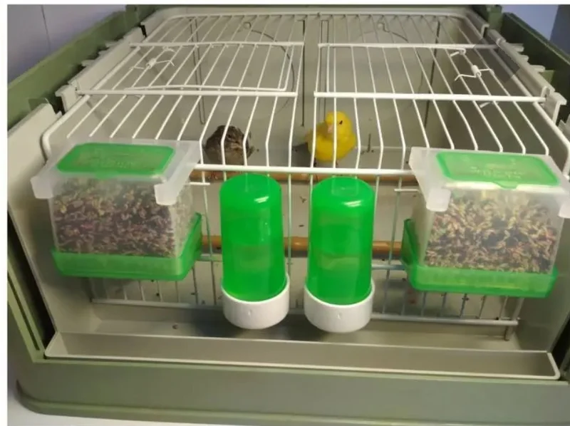 Bol alimentaire Carla "Anti-gaspillage" VERT 125grammes