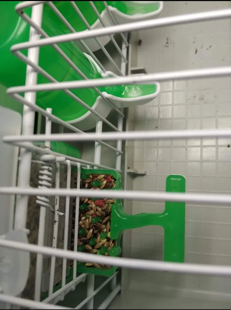Bol alimentaire Carla "Anti-gaspillage" VERT 125grammes
