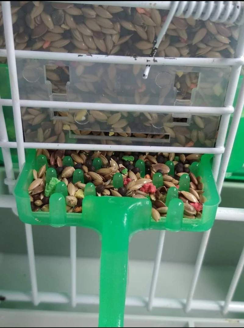 Bol alimentaire Carla "Anti-gaspillage" VERT 125grammes