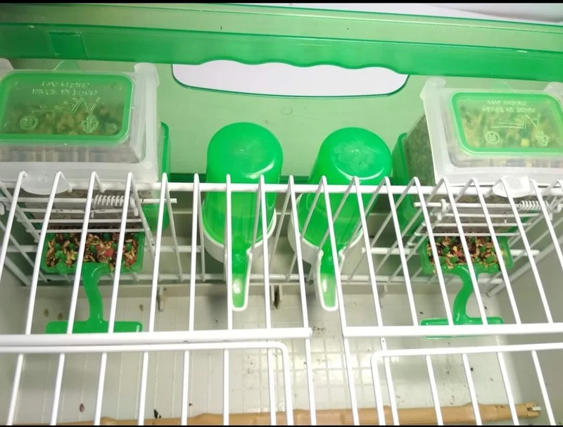 Bol alimentaire Carla "Anti-gaspillage" VERT 125grammes