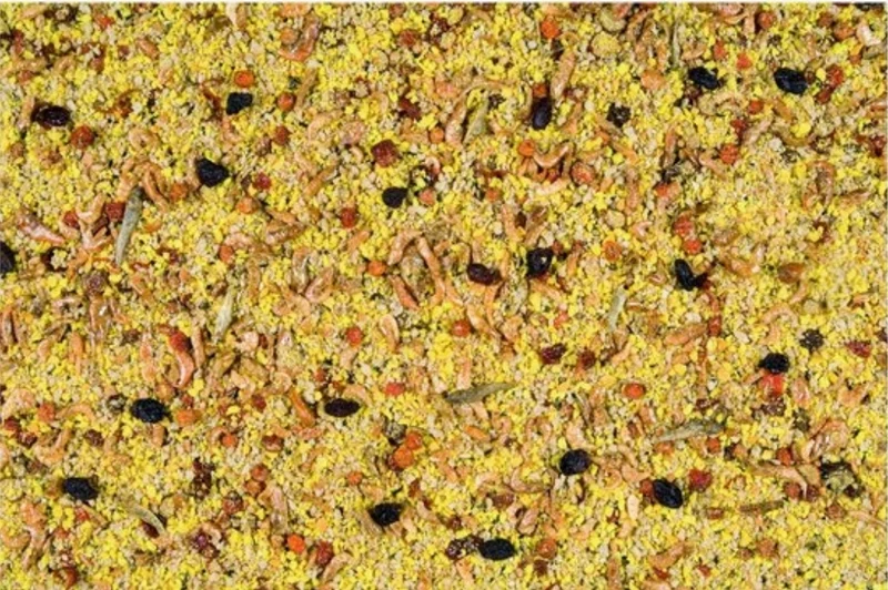 Nutribird Gold Crumble Grandes Perruches et Perruches 800 grammes (Avec fermeture éclair)