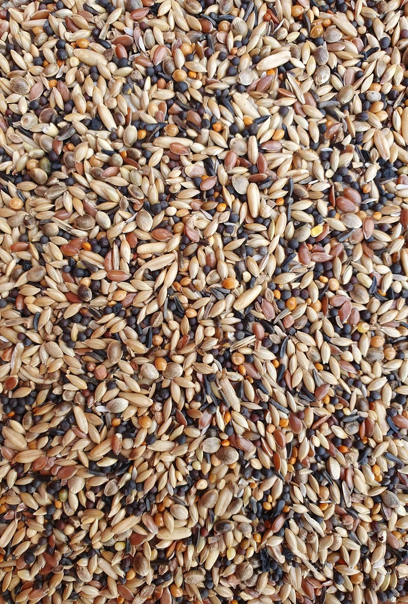 Deli Nature 91 Oiseaux d'Europe 2,5kg