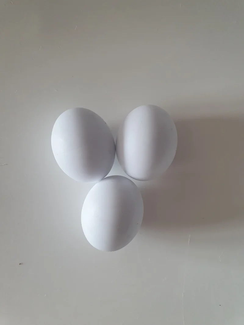 Oeuf plastique grande perruche 3cm