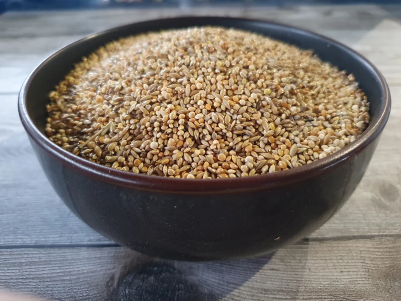 Exotiques Michotte Goulds 5kg (emballés vous-même)