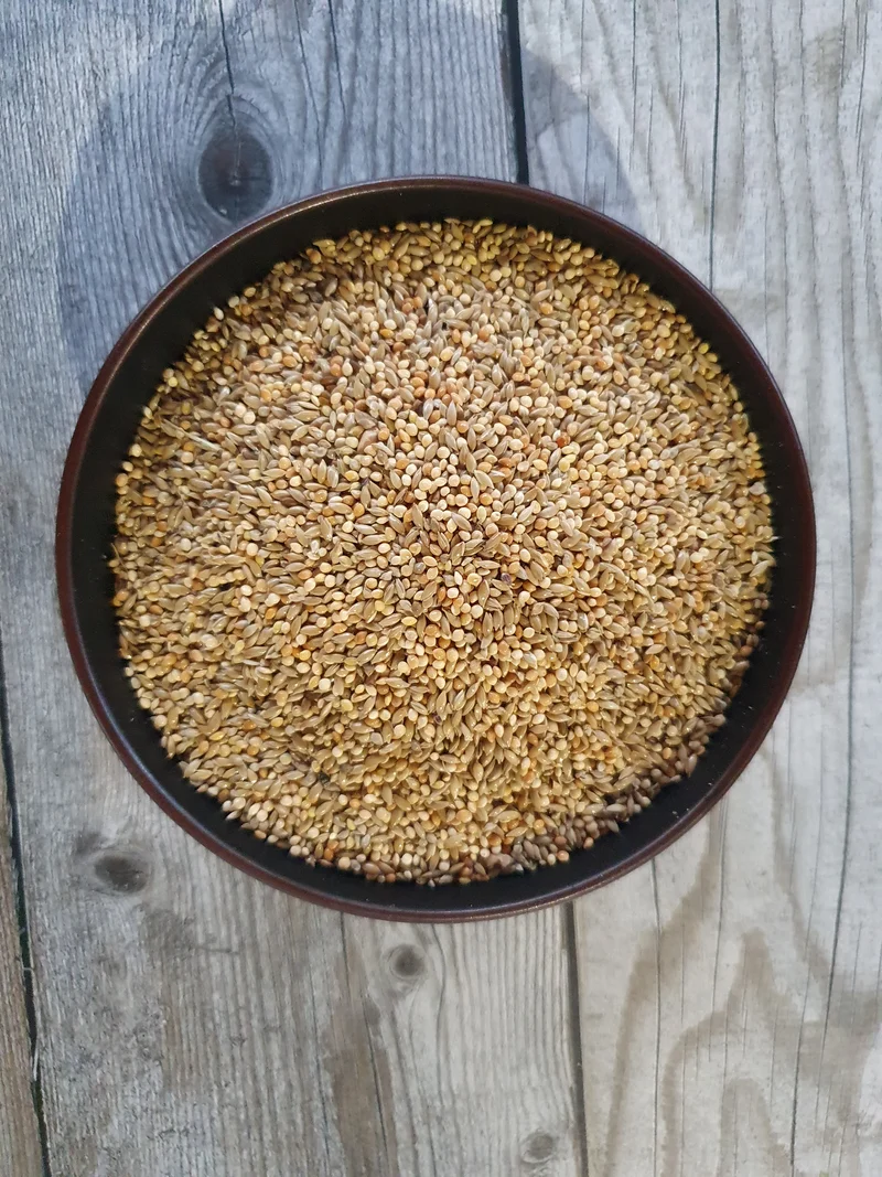 Exotiques Michotte Goulds 5kg (emballés vous-même)