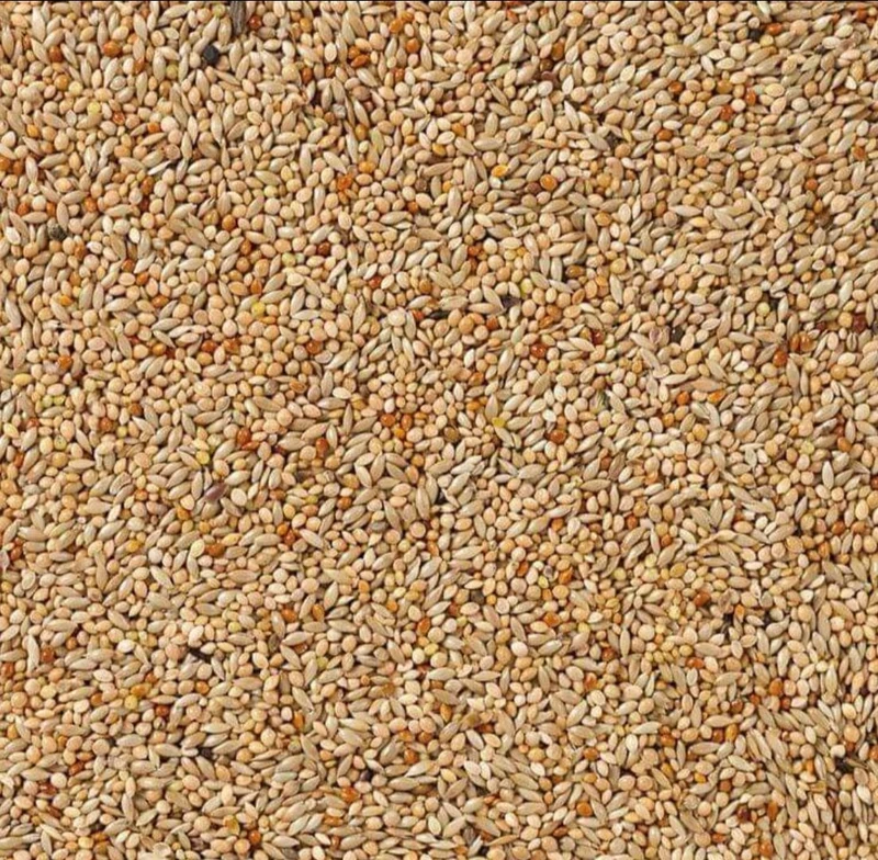 Deli Nature 40 Oiseaux Tropicaux Basic 5 kg (emballé à la main)