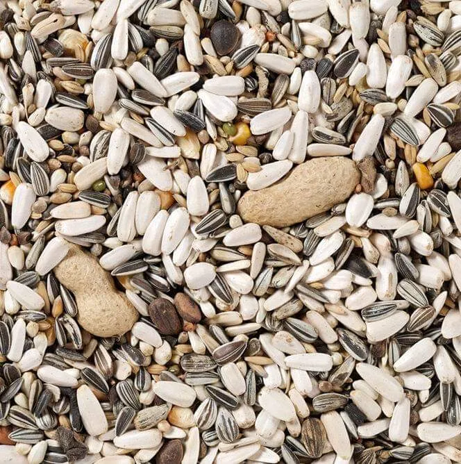 Deli Nature 60 Perroquet Basique 15kg