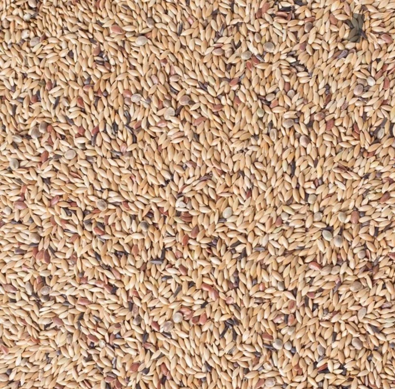 Deli Nature 81 Canary Light Sans Colza 20kg