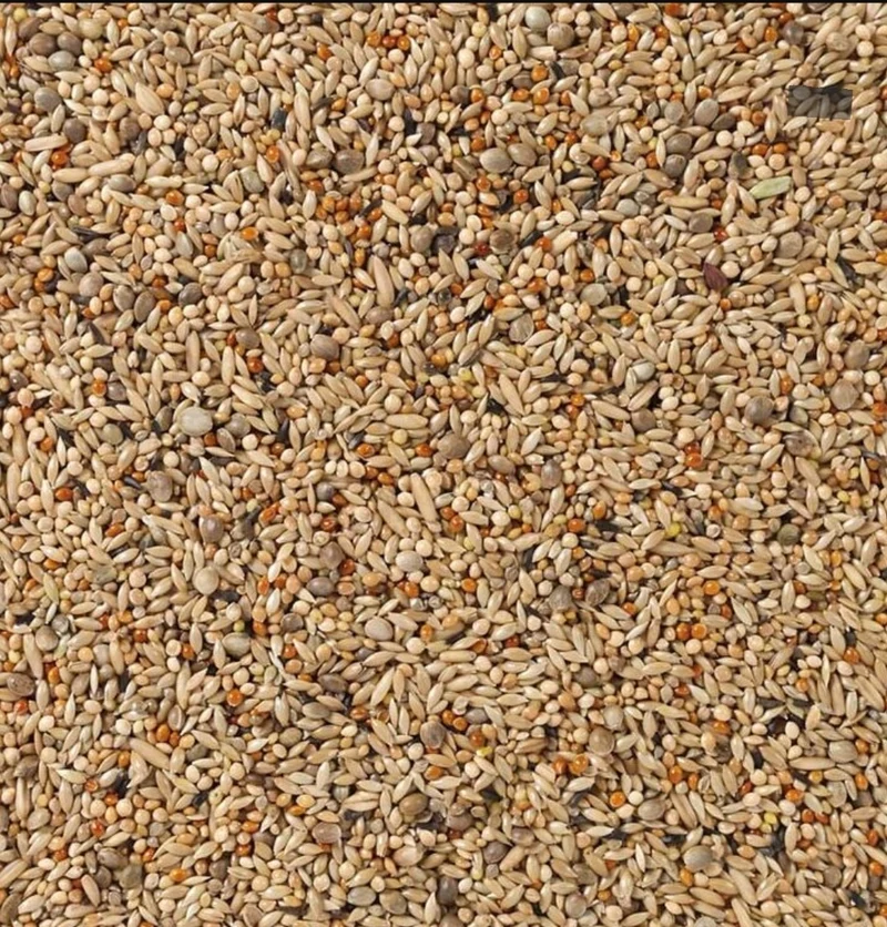 Deli Nature 67 Perruches Elevage 20kg