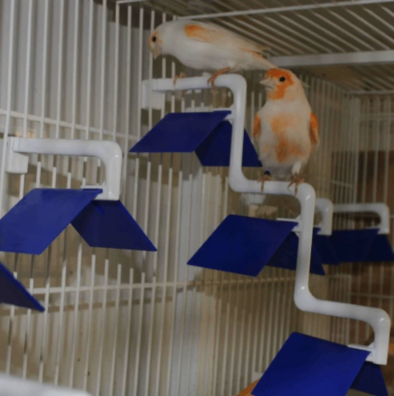 Siège pour oiseaux avec extension - Moldes Ave
