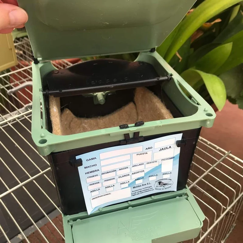 Nest Isabella Exotics - Avenue Moldes