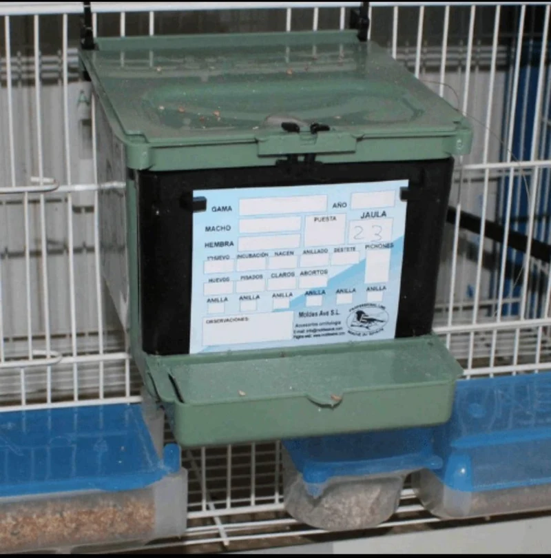 Nest Isabella Exotics - Avenue Moldes