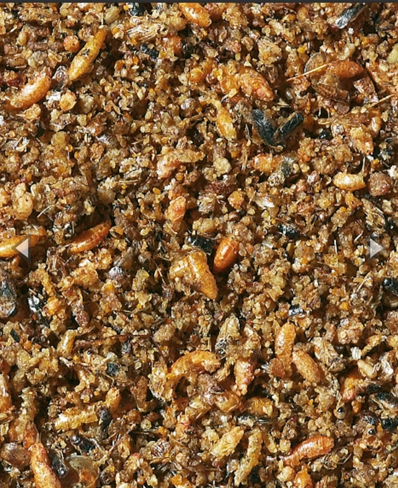 Nutribird - Orlux Insect Pâtée 1kg - Min. 25% Insectes