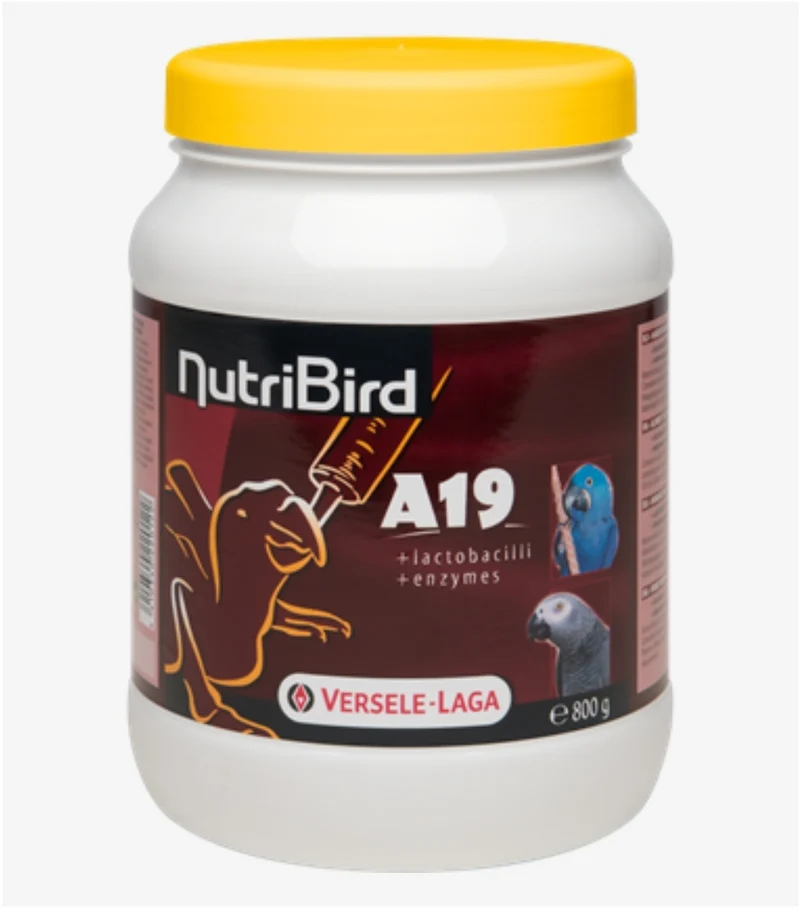 NutriBird A19 - 800 grammes - Élevage à la main