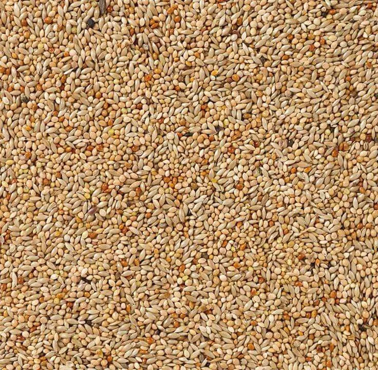 Deli Nature 40 Oiseaux Tropicaux Basic 20kg