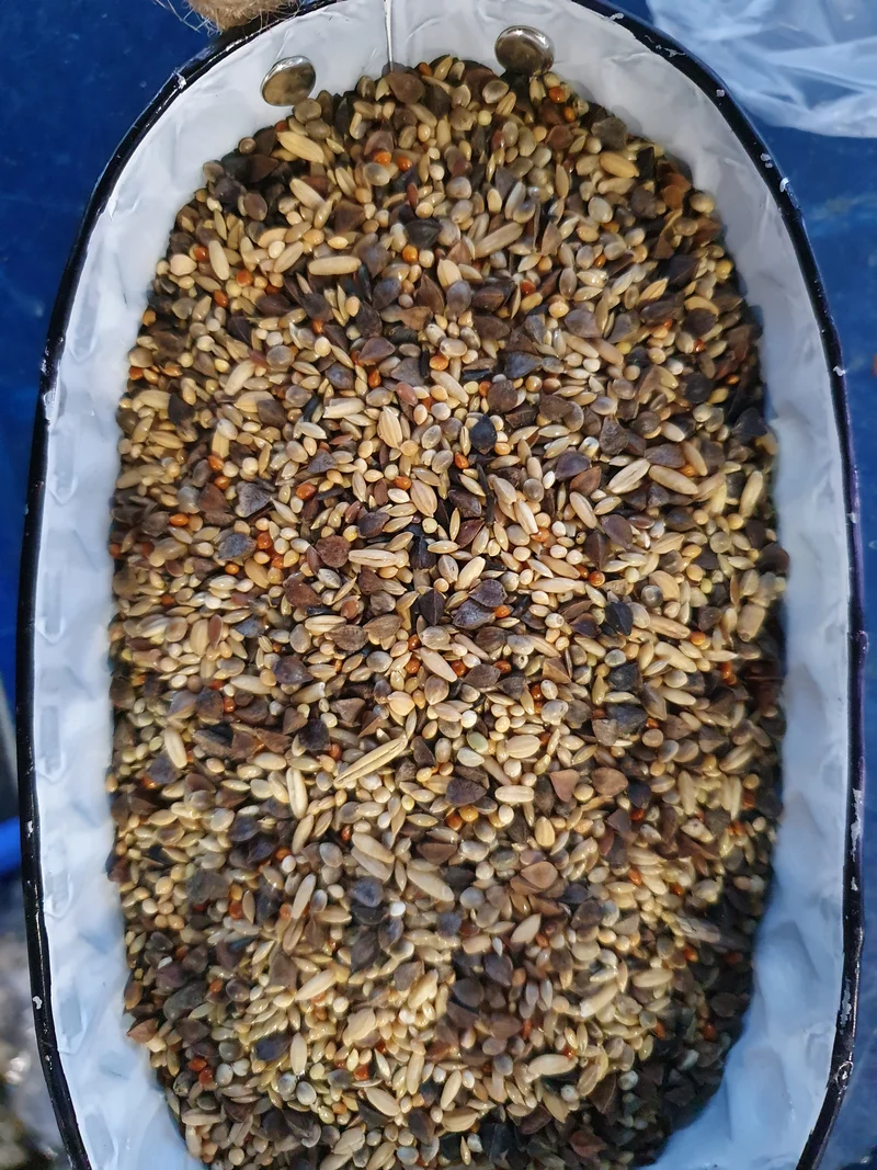 Deli Nature 71 Agapornis Premium 20kg