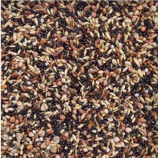 Deli Nature 99 Oiseaux Européens Basic 20kg
