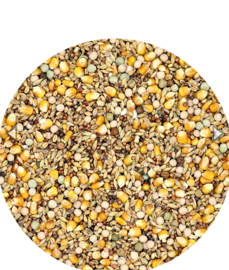 Mariman 4 Seasons mariman - Nourriture pour pigeons 25 kg - Versele Laga