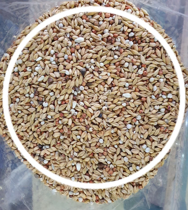 Etalon de purification 25 Kg Mariman - Versele Laga
